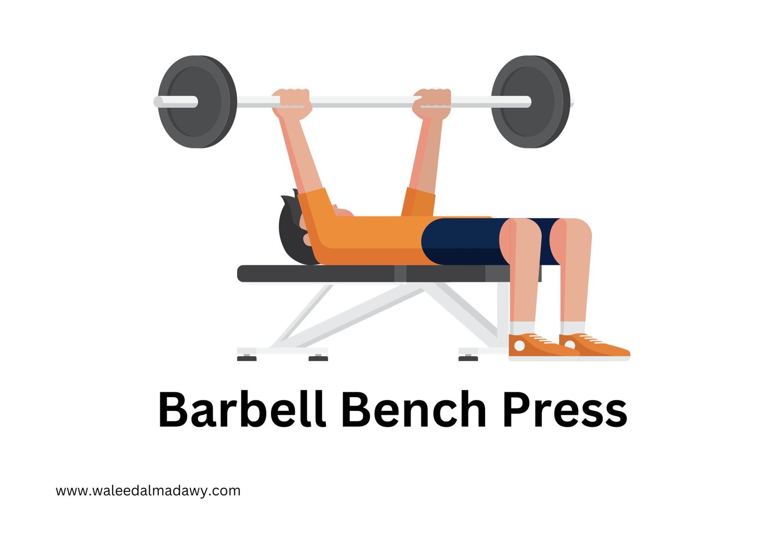 Barbell Bench Press  - ممارسة الرياضة