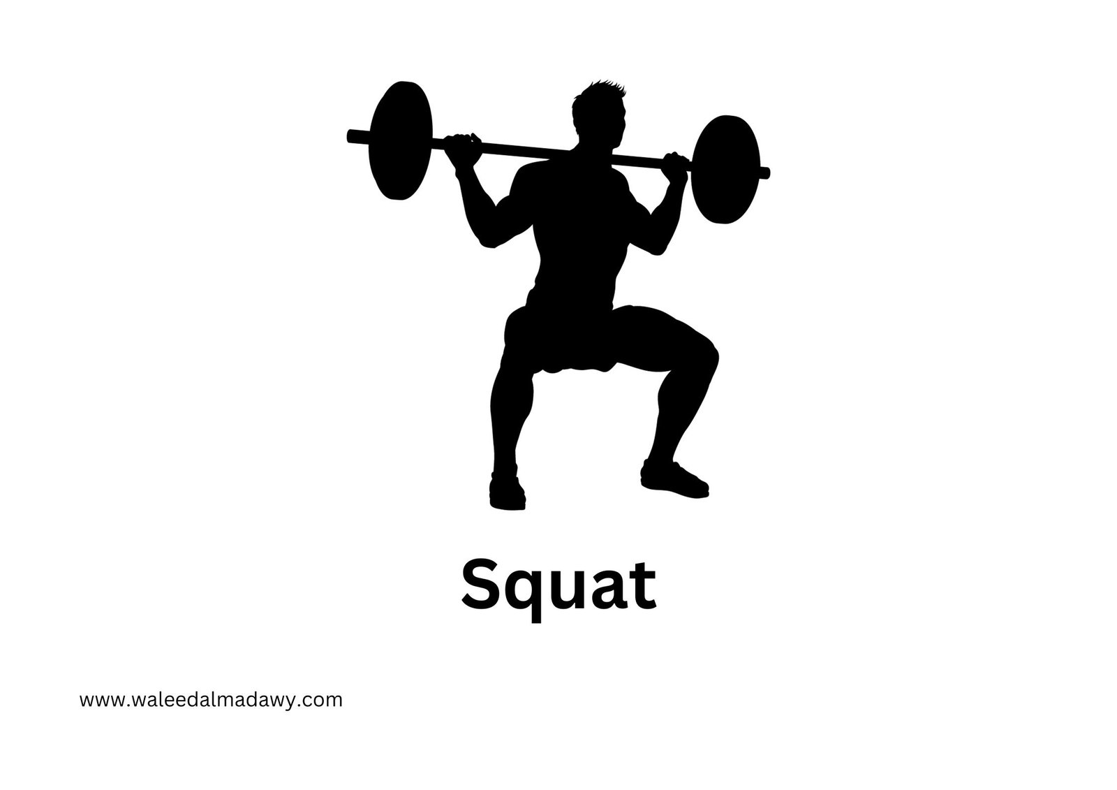 Squat - ممارسة الرياضة