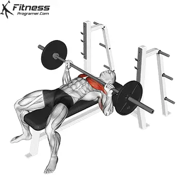 Barbell-Bench-Press برنامج القوة البدنية