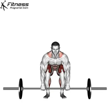 Barbell-Deadlift برنامج الفوة العضلية