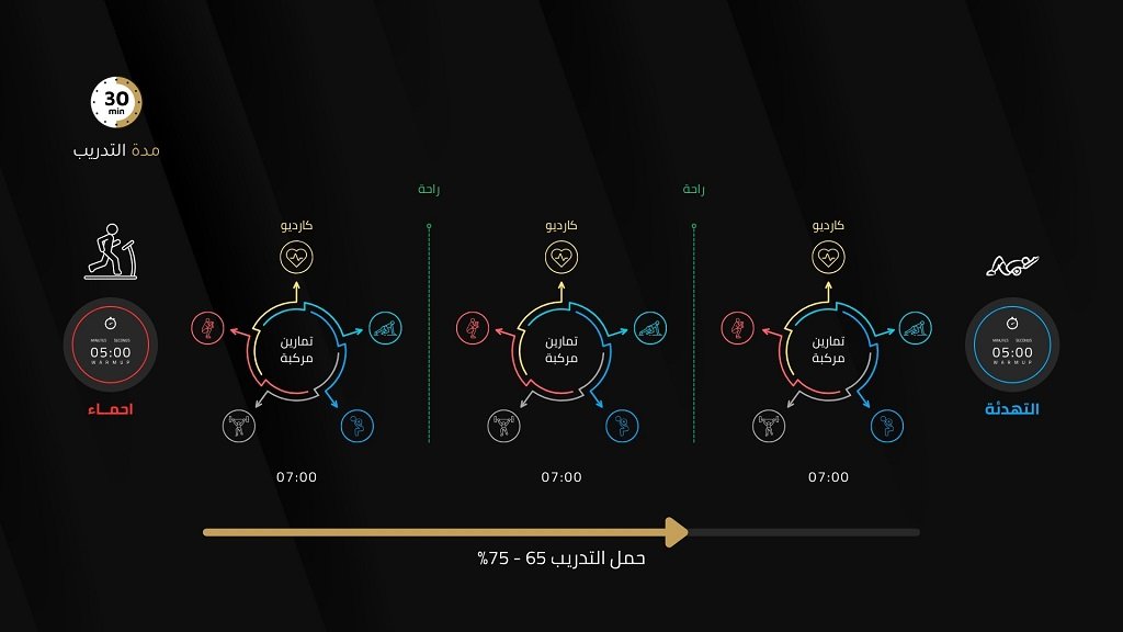 نظام إطار دوائر القوة. رسم توضيحي لمنهجية إطار دوائر القوة للتدريب الرياضي.