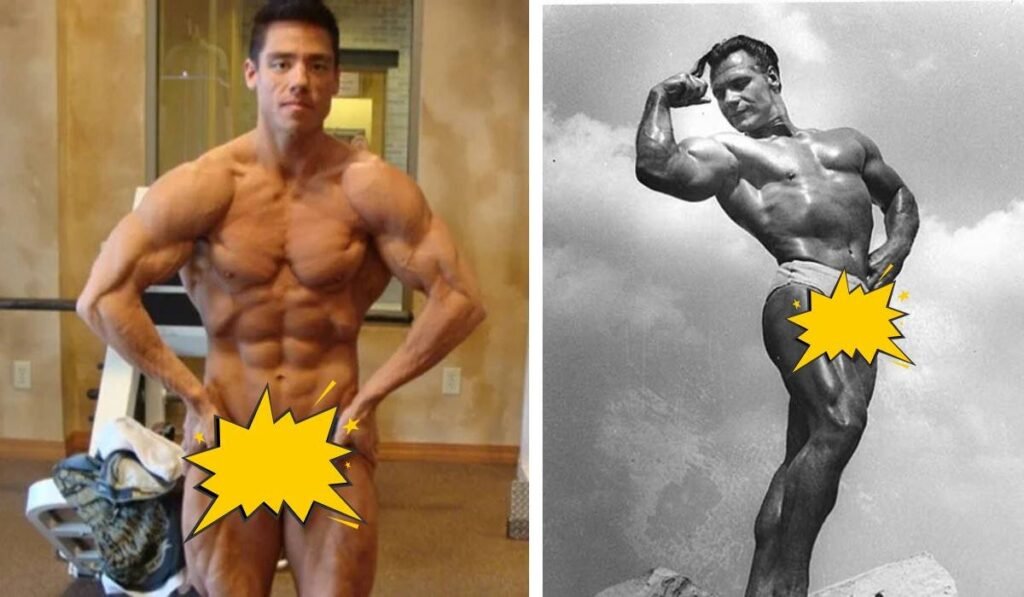 John Grimek vs. Thai Dinh Comparison